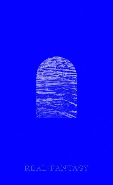 bokomslag Real-Fantasy