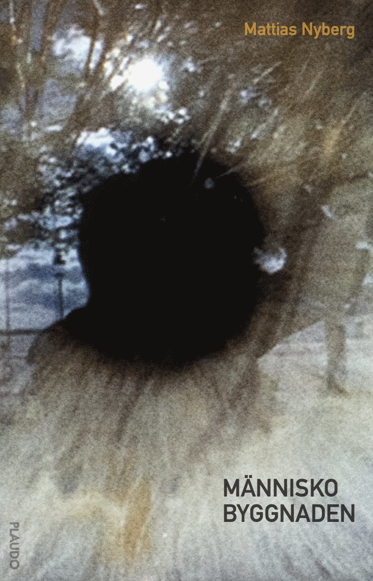 Mattias Nyberg - Människobyggnaden, Häftad