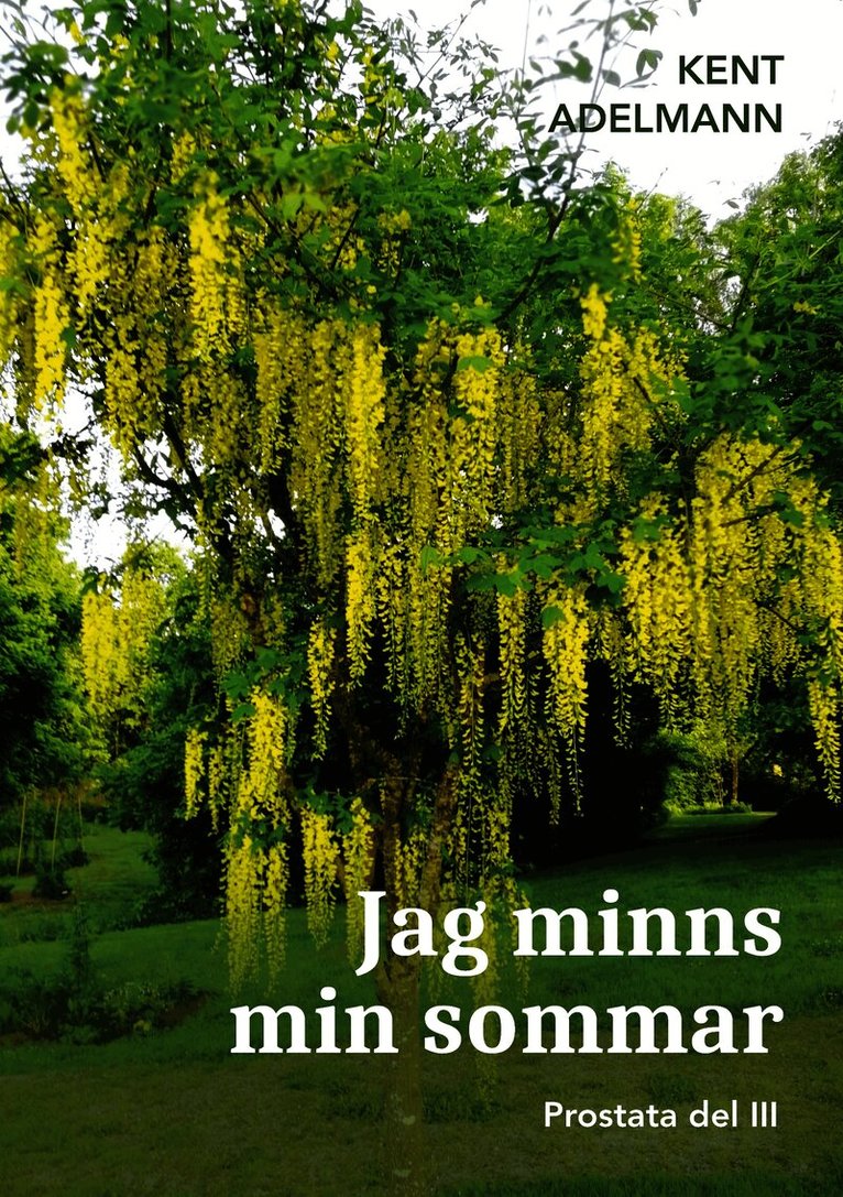 Jag minns min sommar: Prostata del III