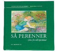 bokomslag Så perenner