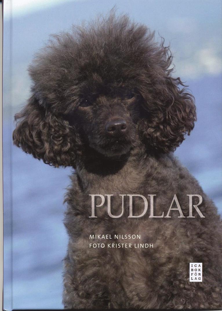 Pudlar