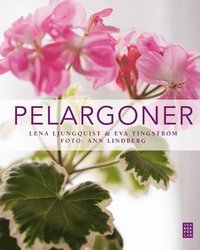 bokomslag Pelargoner
