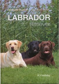 bokomslag Labrador retriever