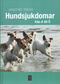 bokomslag Hundsjukdomar från A till Ö