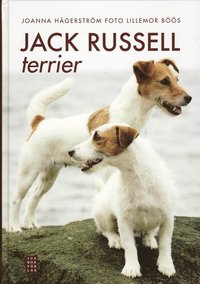bokomslag Jack Russell-terrier