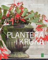 bokomslag Plantera i kruka