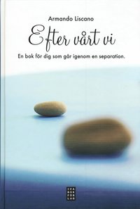 bokomslag Efter vårt vi : för dig som går igenom en separation