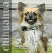 bokomslag Chihuahua