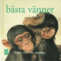 bokomslag Bästa vänner : kloka citat om vänskap