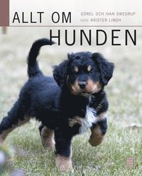 bokomslag Allt om hunden (rev)