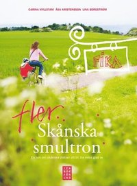 bokomslag Fler skånska smultron : en bok om skånska platser att bli lite extra glad av