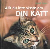 bokomslag Allt du inte visste om din katt