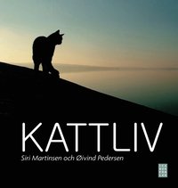 bokomslag Kattliv