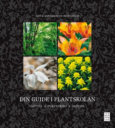 Ann-Christin Rosenholm, Dan Rosenholm - Din guide i plantskolan, Inbunden