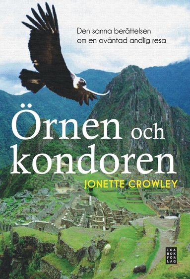 bokomslag Örnen och kondoren : den sanna berättelsen om en oväntad andlig resa