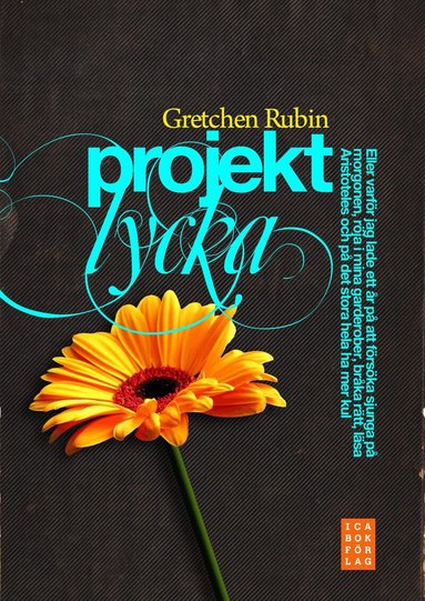 Gretchen Rubin - Projekt lycka : eller varför jag lade ett år på att försöka sjunga på morgonen, röja i mina garderober, bråka rätt, läsa Aristoteles och på det stora hela ha mer kul, Inbunden