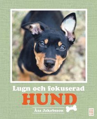 bokomslag Lugn och fokuserad hund