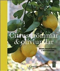 bokomslag Citrusdrömmar & olivlundar : medelhavskänsla i trädgården