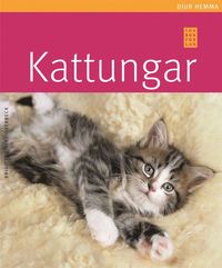 bokomslag Kattungar