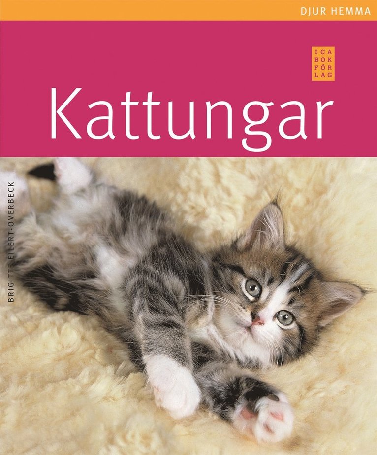 Kattungar