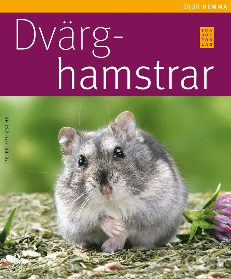 Dvärghamstrar