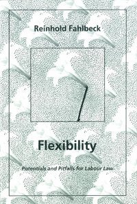 bokomslag Flexibility Potentials and Pitfalls for Labour Law