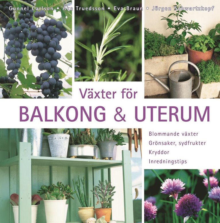 Växter för balkong & uterum : blommande växter, grönsaker, sydfrukter, kryddor, inredningstips