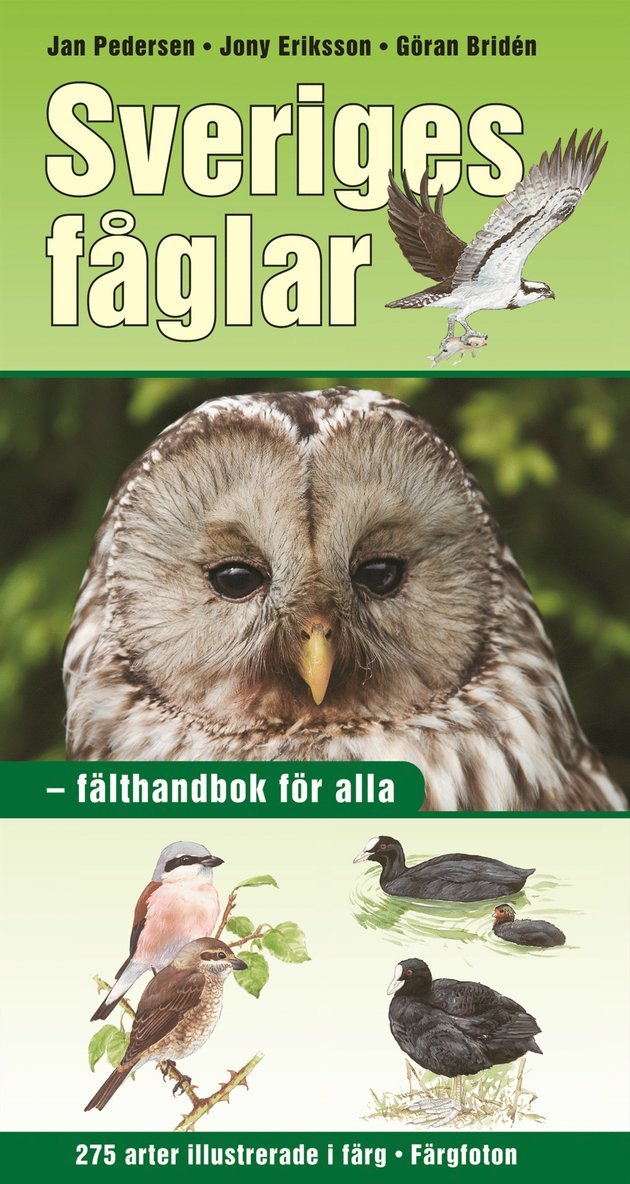 Jan Pedersen, Göran Bridén - Sveriges fåglar : fälthandbok för alla, Häftad