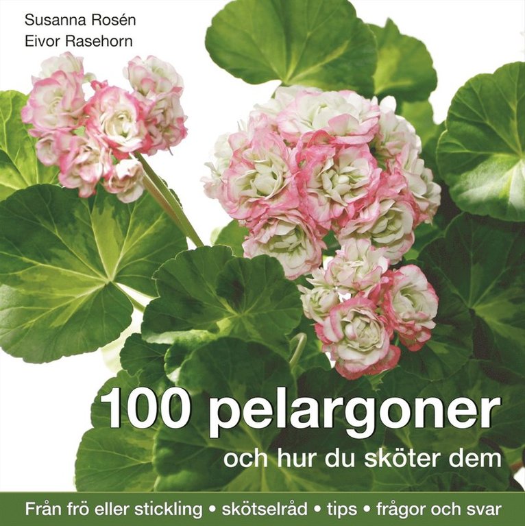 Susanna Rosén - 100 pelargoner och hur du sköter dem, Inbunden