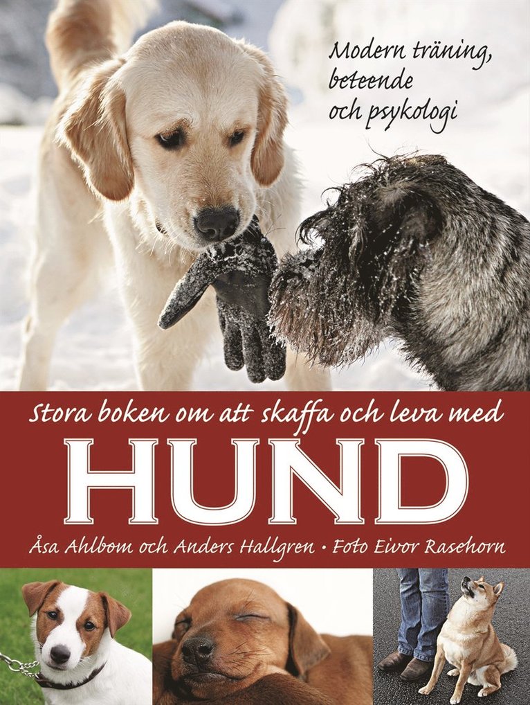 Åsa Albom, Anders Hallgren - Stora boken om att skaffa och leva med hund : modern träning, beteende och psykologi, Inbunden