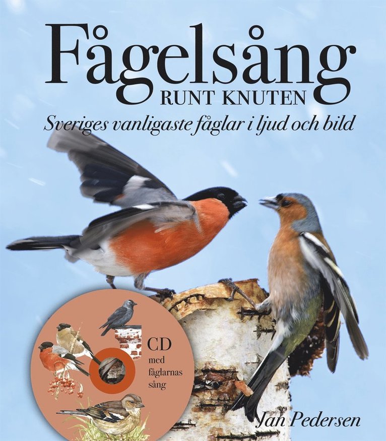 Jan Pedersen - Fågelsång runt knuten : Sveriges vanligaste fåglar i ljud och bild, Inbunden