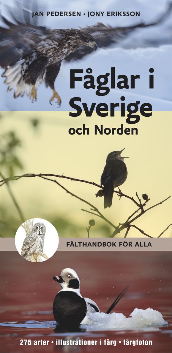 Jony Eriksson, Jan Pedersen - Fåglar i Sverige och Norden : fälthandbok för alla, Häftad