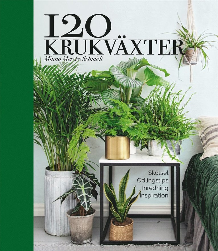 Minna Mercke Schmidt - 120 krukväxter : skötsel, odlingstips, inredning, inspiration, Inbunden