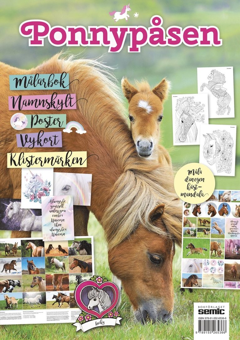 Ponnypåsen 2018, Häftad