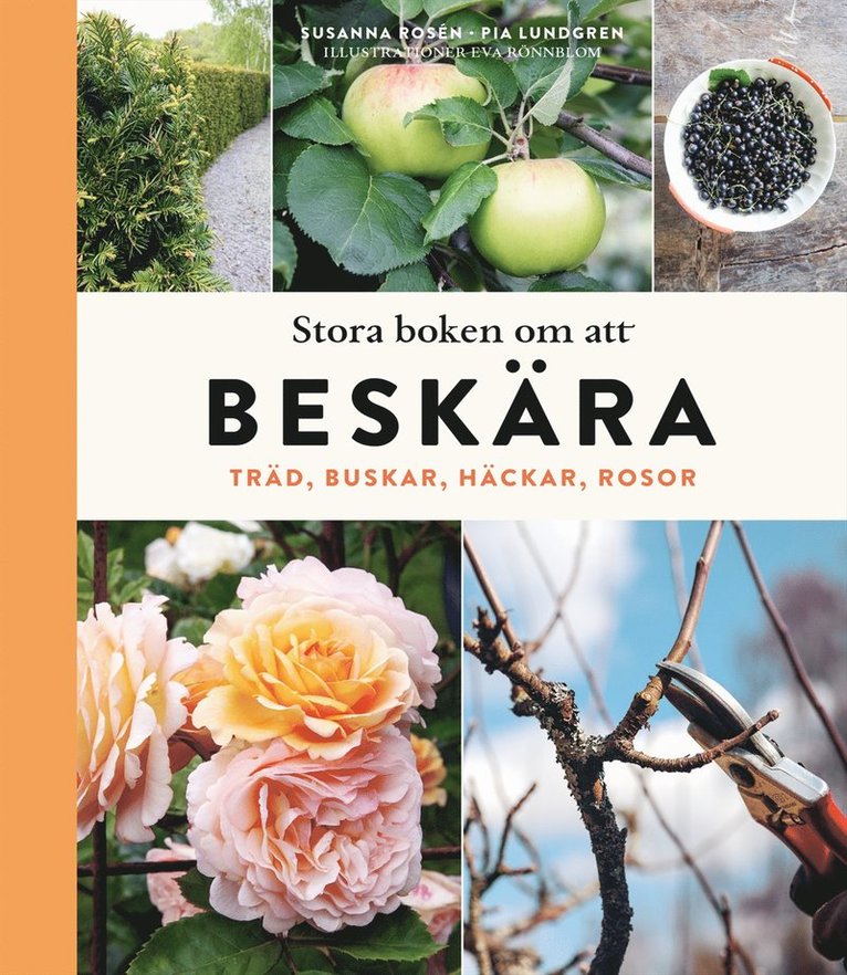 Stora boken om att beskära : träd, buskar, häckar och rosor 1