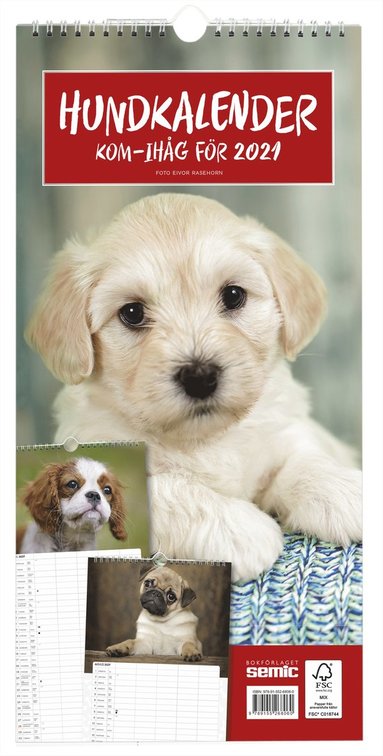 bokomslag Hundkalender 2021