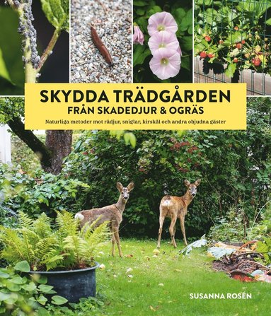 Susanna Rosén - Skydda trädgården från skadedjur & ogräs : naturliga metoder mot rådjur, sniglar, kirskål och andra objudna gäster, Inbunden