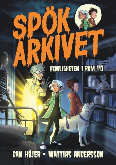 bokomslag Hemligheten i rum 113