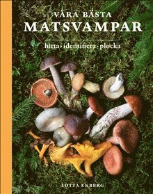 Lotta Ekberg - Våra bästa matsvampar : hitta, identifiera, plocka, Inbunden