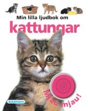 Ljudbok - Min lilla ljudbok om Kattungar, Kartonnage