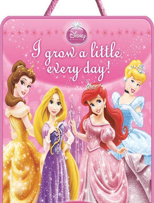 Mätstickebok WD Prinsessor, Kartonnage