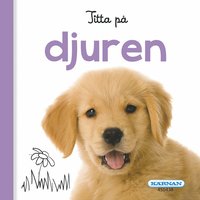 bokomslag Titta på djuren