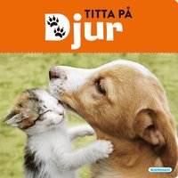 bokomslag Titta på djur
