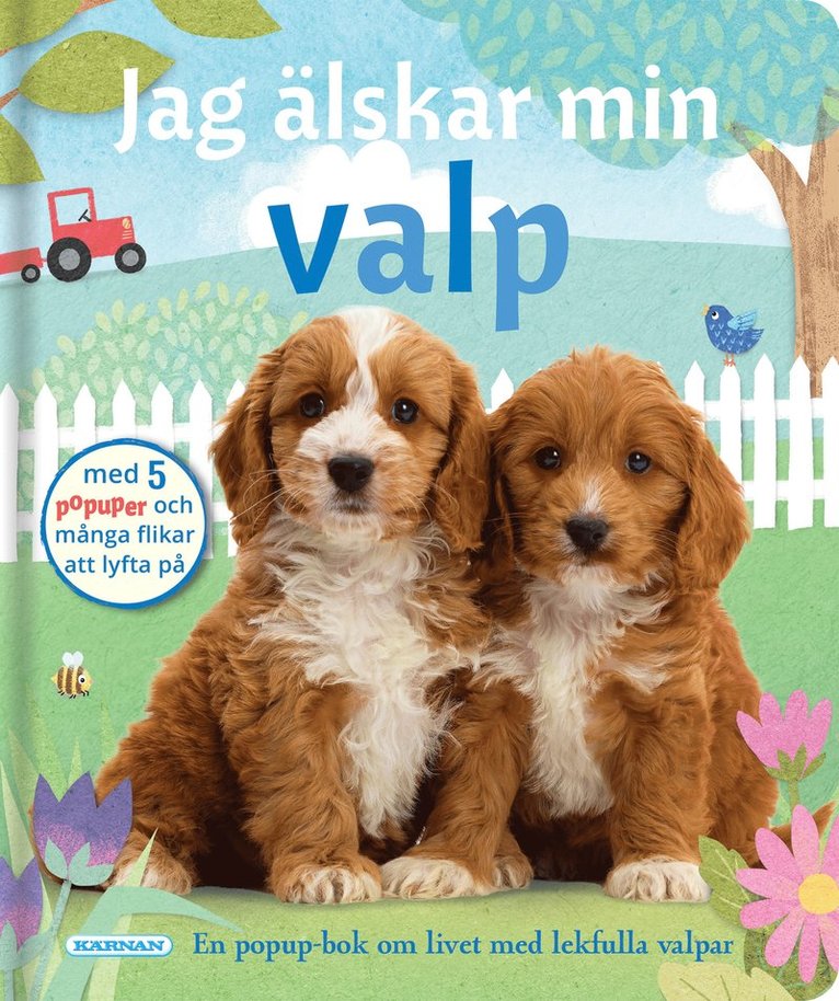 Jag älskar min valp, Kartonnage
