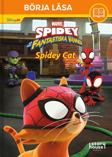 Spidey Cat, Kartonnage