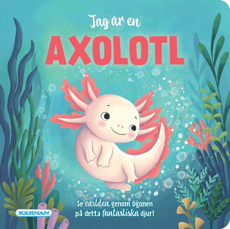 Jag är en axolotl, Kartonnage