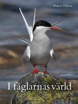 Magnus Ullman - I fåglarnas värld, Inbunden