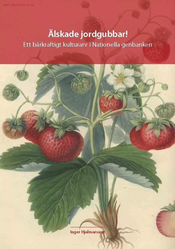 Älskade jordgubbar! - Ett bärkraftigt kulturarv i Nationella genbanken 1