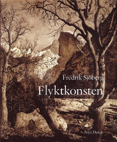 bokomslag Flyktkonsten