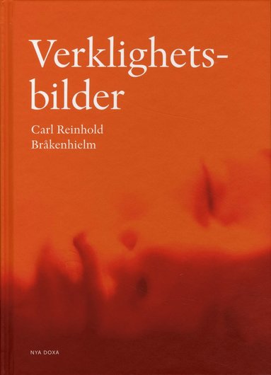 bokomslag Verklighetsbilder